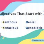 adjectives-that-start-with-x