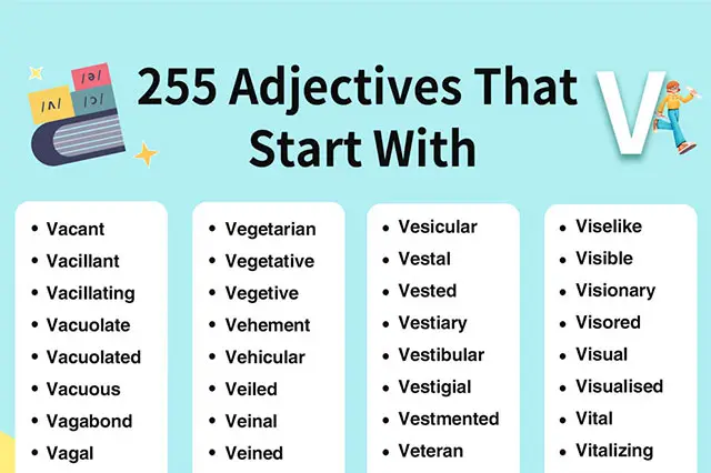 adjectives beginning with V